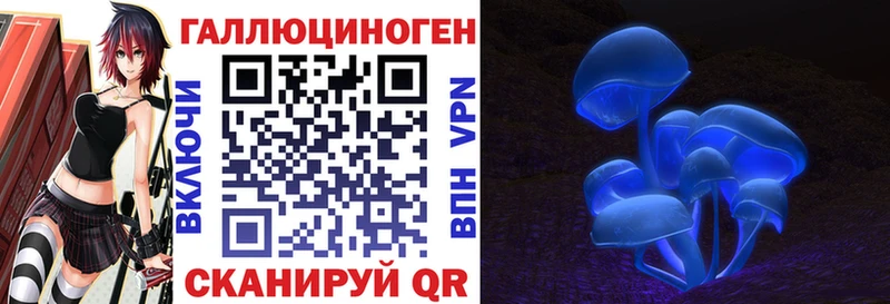 Галлюциногенные грибы MAGIC MUSHROOMS  Лесной 
